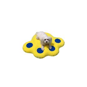 Small Inflatable Raft