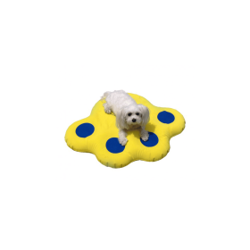 Small Inflatable Raft