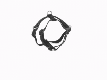 FidoRido harness (Med.)