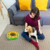 Dog Puzzle Food Feeder Slow Feeding Bowl Interactive Toy